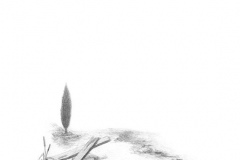 Question-s-de-peinture19