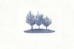 Topologie-Territoire (3)